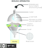 Extracting Soil Fauna