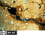 Ferriargillans in microcrystalline carbonates