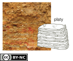 Platy Soil Structure