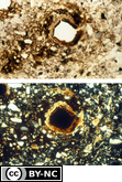 Fe oxide coating overlying a clay coating