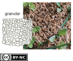 Granular Soil Structure