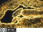 Juxtaposed coating of jarosite and goethite