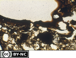 Coating of organic matter and clay