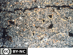 Channel microstructure with clay coatings