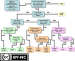 Flow Chart for Texturing Soil by Feel