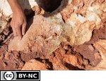 Calcite crystals in a terra rosa soil