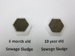 Sewage Sludge