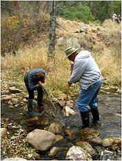 Arizona Master Watershed Steward program participants sampling macroinvertebrates in Tonto Creek, Arizona. (C. Rupprecht).