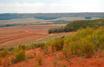 Former cerrado unproductive soil in Brazil now in use