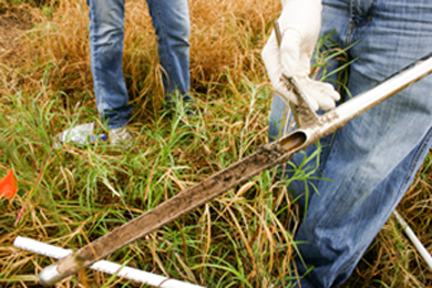 Collecting soils samples in Rio Grande floodplain