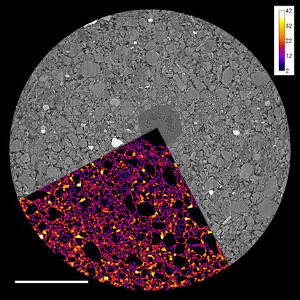 Micron measurement of soil pores and barley root