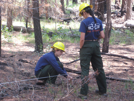 Two researchers with yellow hard hats and work clothes in a forest with pine needles below their feet and green undergrowth. One of the researchers is crouched down while the second looks on.