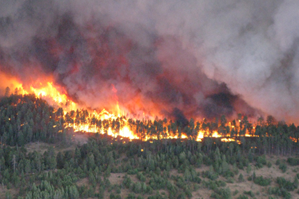 In the foreground, desert brush. In the background, trees are consumed in flame, with purple smoke clouds covering the sky