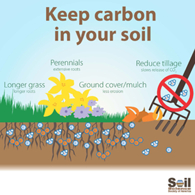 Infographic cartoon shows longer grass, perennial flowers, ground cover. A pitchfork going into the soil is crossed out to remind us to reduce tillage.