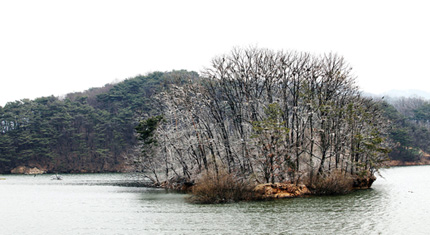 Small islet in Maji Reservoir is home to many cormorants