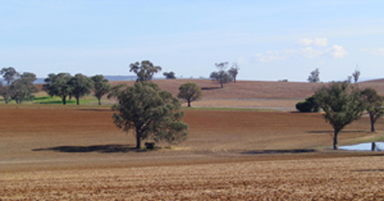 Agricultural soils in New South Wales