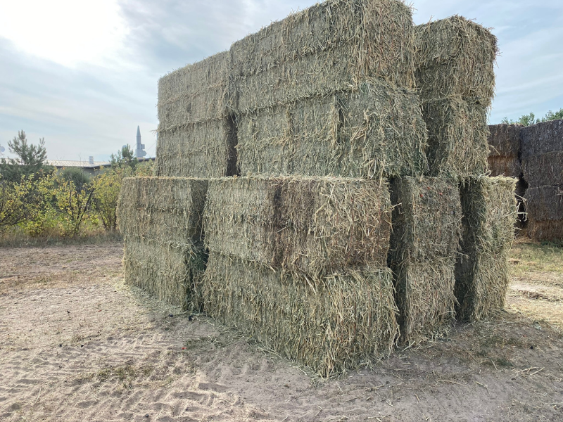 stacks of haybales on dirt