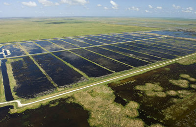 Aerial view of grid-like construction of wetlands and roads in Florida's Everglades