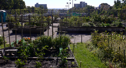 Decarie Expressway tunnel roof converted to garden