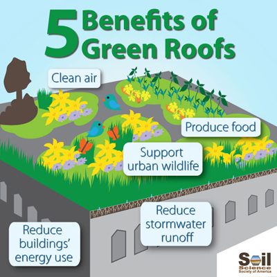 Green roofs catch stormwater, clean the air, reduce building energy use, provide urban wildlife habitats, and can produce food