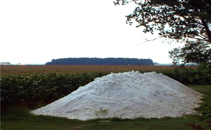 In the background is a stand of trees and a mature cornfield. In the foreground, a pile of white gypsum powder appears as tall as the corn.