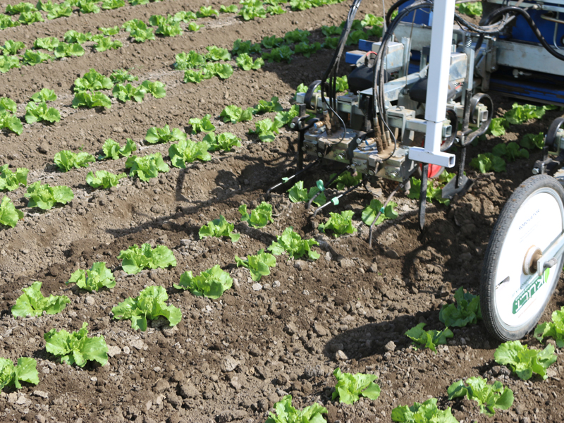 robotic weeder pulled by tractor sitting in field of crops