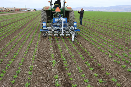 Robotic weeder attached to tractor between crop rows.