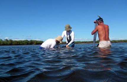 Researchers gathering soil samples from under water