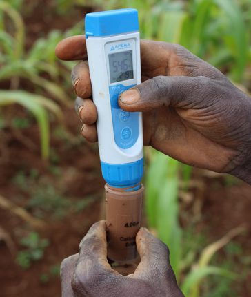 With corn growing in the background, a hand holds a white-and-blue digital device showing pH measurement on the screen. The tip of the device is in a soil sample. 