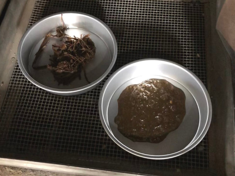 two bowls with one filled with dry slurry manure and one with straw-bedded pack contaminated with Palmer amaranth seeds