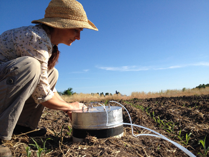 Researcher collects gas sample from field