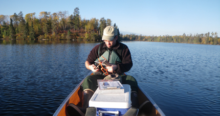 Collecting watershed data on mercury in BWCA