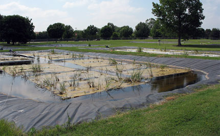 Installed engineered floating wetland