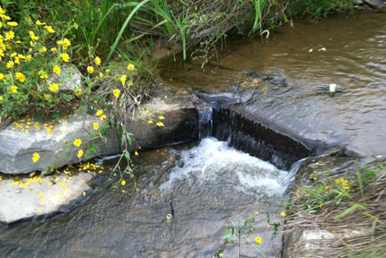 A cross-vane structure in a stream 