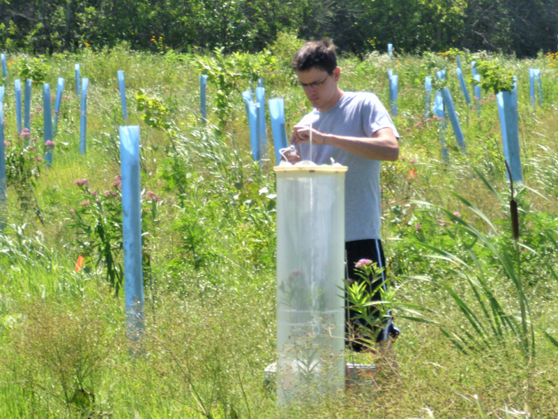 Student researcher checking gas chamber.