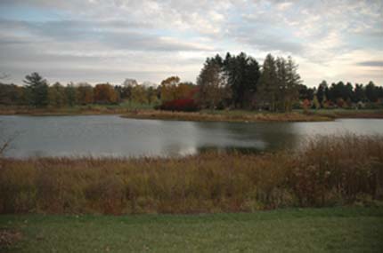 Meadow Lake at Morton Arboretum