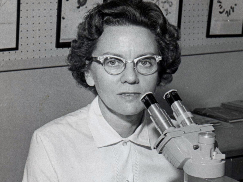 Rosalind Morris with microscope