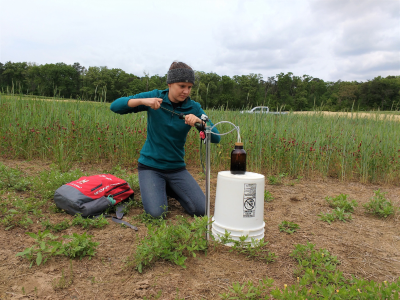 female applying vacuum to a tension lysimeter on bucket in cover crop field with truck and trees in background