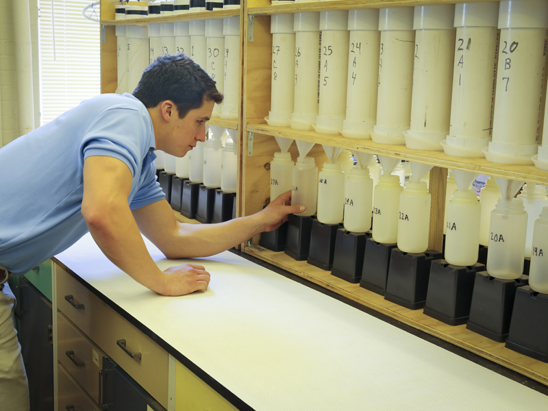 Researcher Jake Shreckhise collects water from columns.