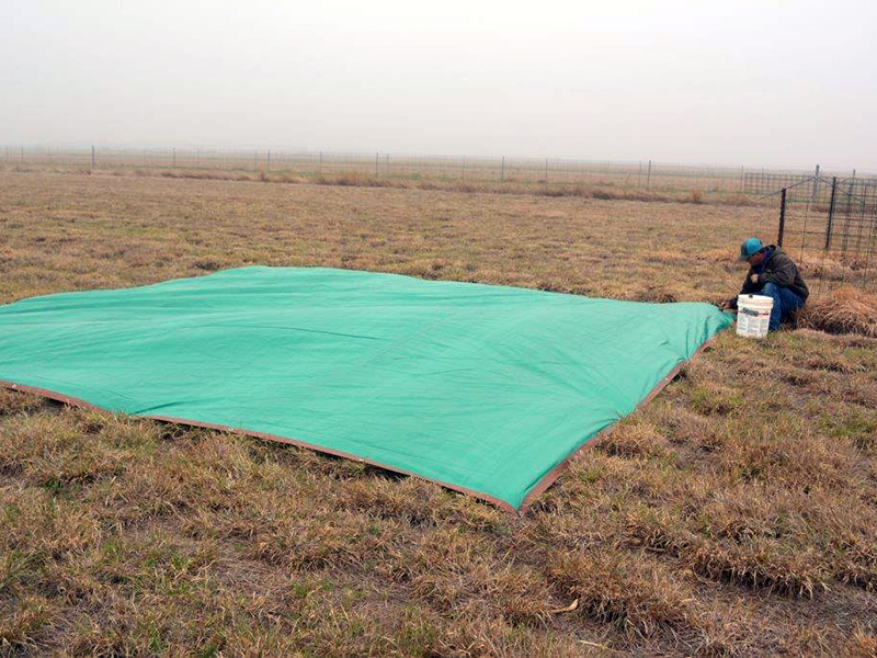 A person spreading a tarp over the ground in a pastsure.