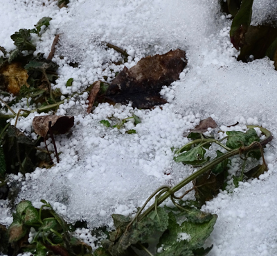 Snow adds protective cover to the soil