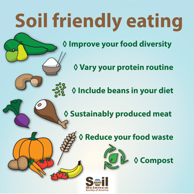 Infographic with points about soil friendly eating: food diversity, varied protein, beans in diet, sustainably produced meat, reduce food waste, compost