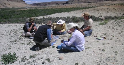 Boettinger training crew on soil sampling, Big Pack Mountain