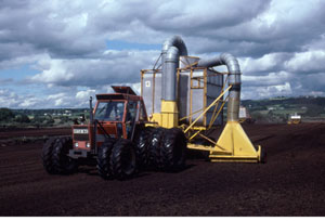 Vaccum harvest of peat