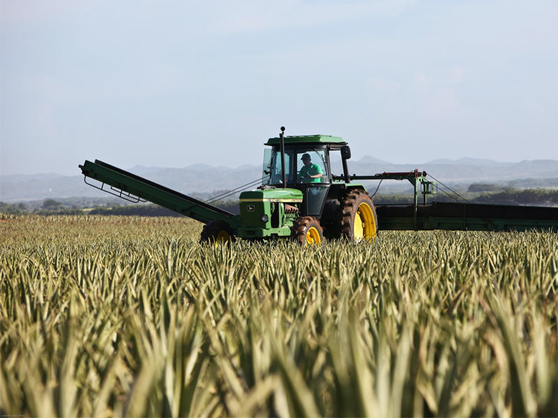 tractor in a field