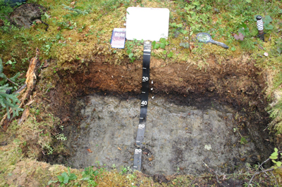 Alaska carbon in soil