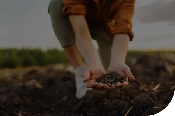 Person scooping up soil into their hands