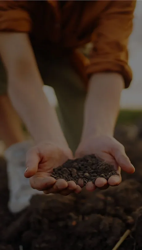 Person knelt down, scooping a handful of soil