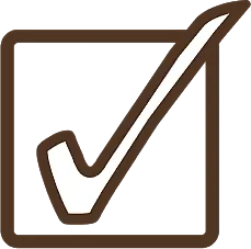 Checkmark icon brown