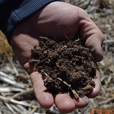 farmers-hold-their-precious-resource